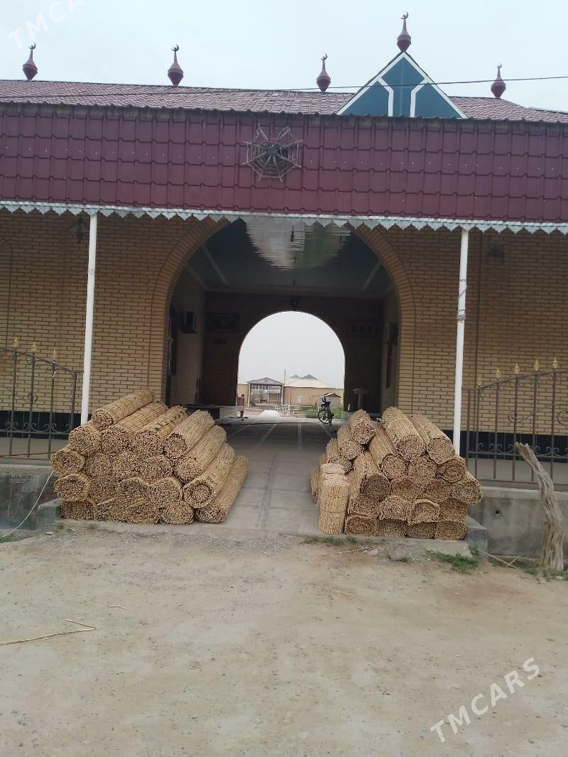 Ak gara òý Gamyş Gotaz Tüÿnük - "Altyn Asyr" Gündogar bazary (Jygyllyk) - img 2