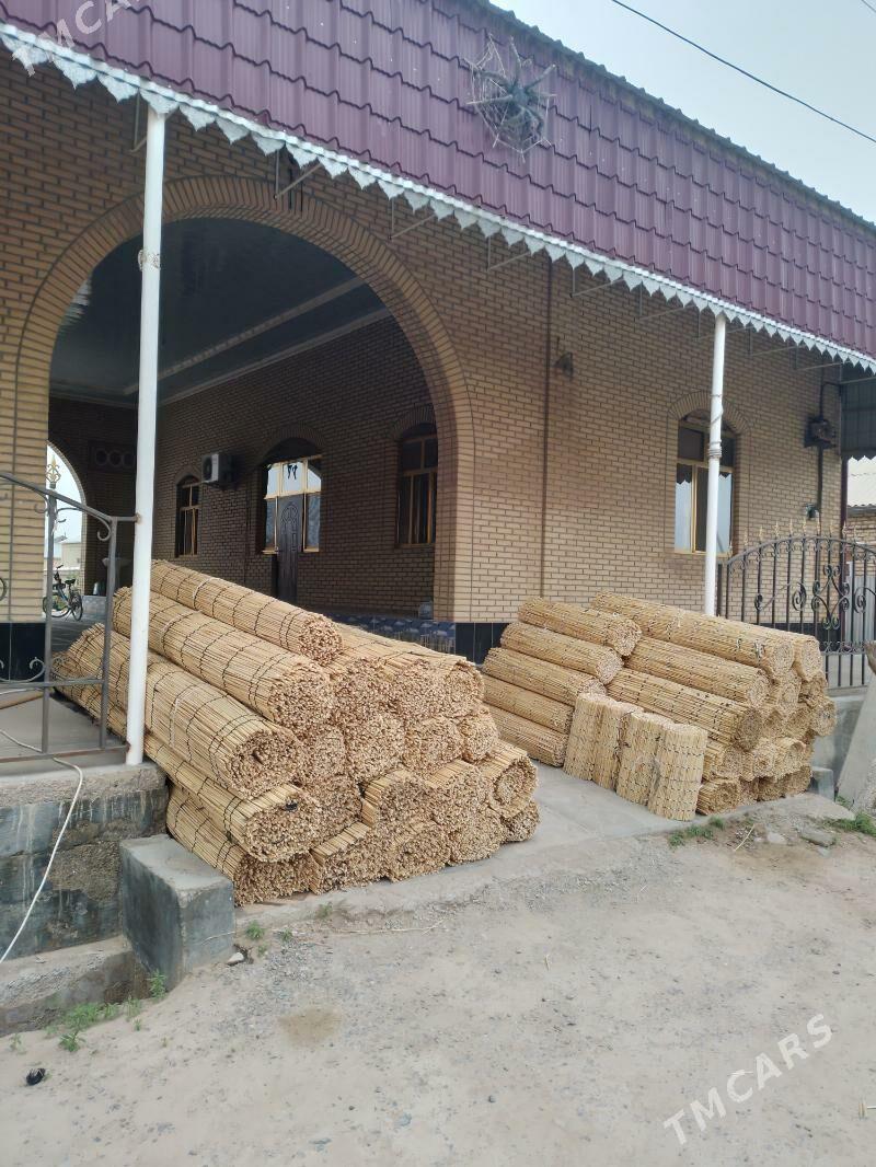 Ak gara òý Gamyş Gotaz Tüÿnük - "Altyn Asyr" Gündogar bazary (Jygyllyk) - img 3