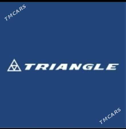 Triangle 3 950 TMT - Ak bugdaý etraby - img 2