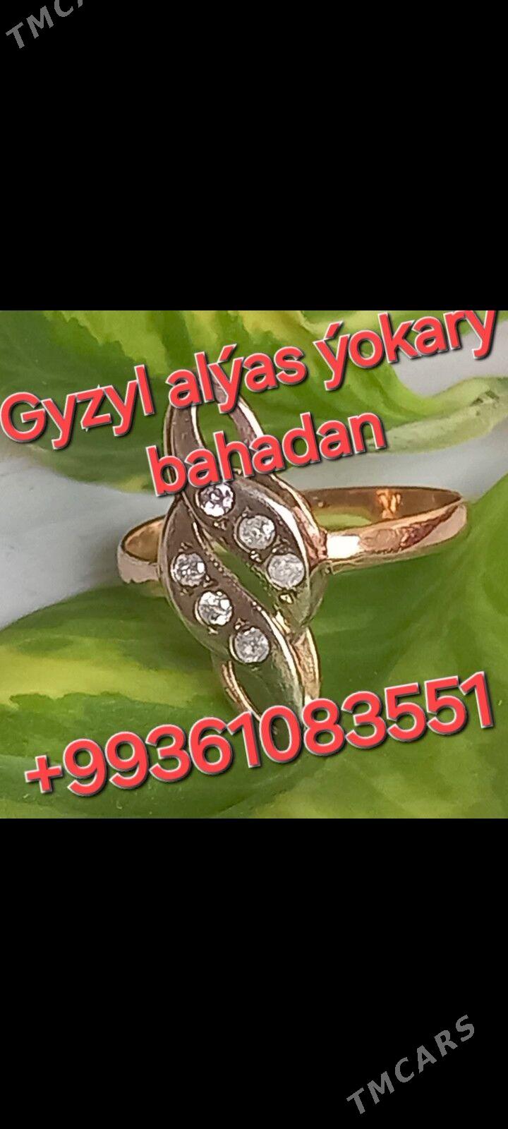 Gyzyl Alyan Gymmat Bahdan I - Ашхабад - img 2