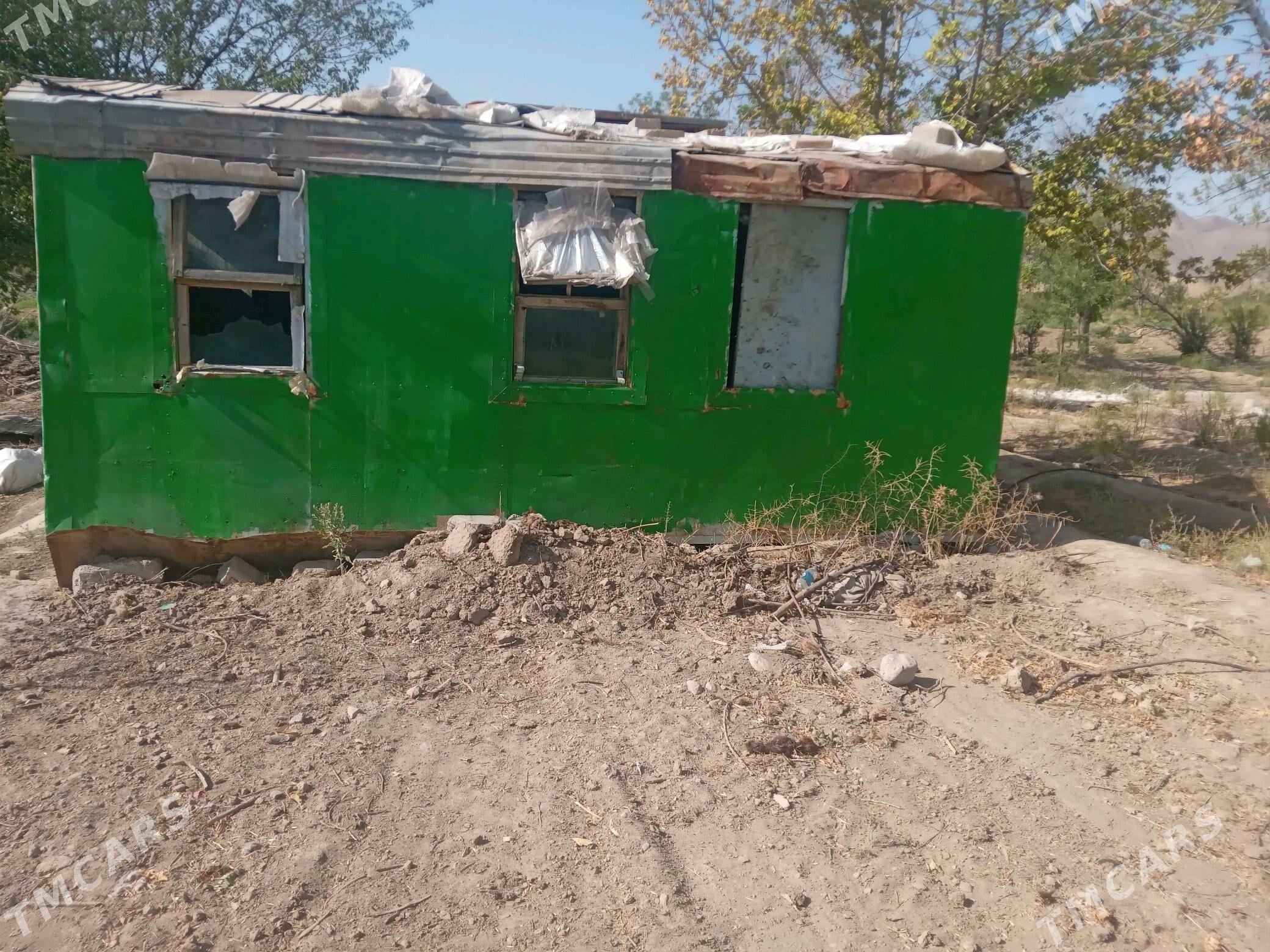 Wogun - Bagyr - img 1