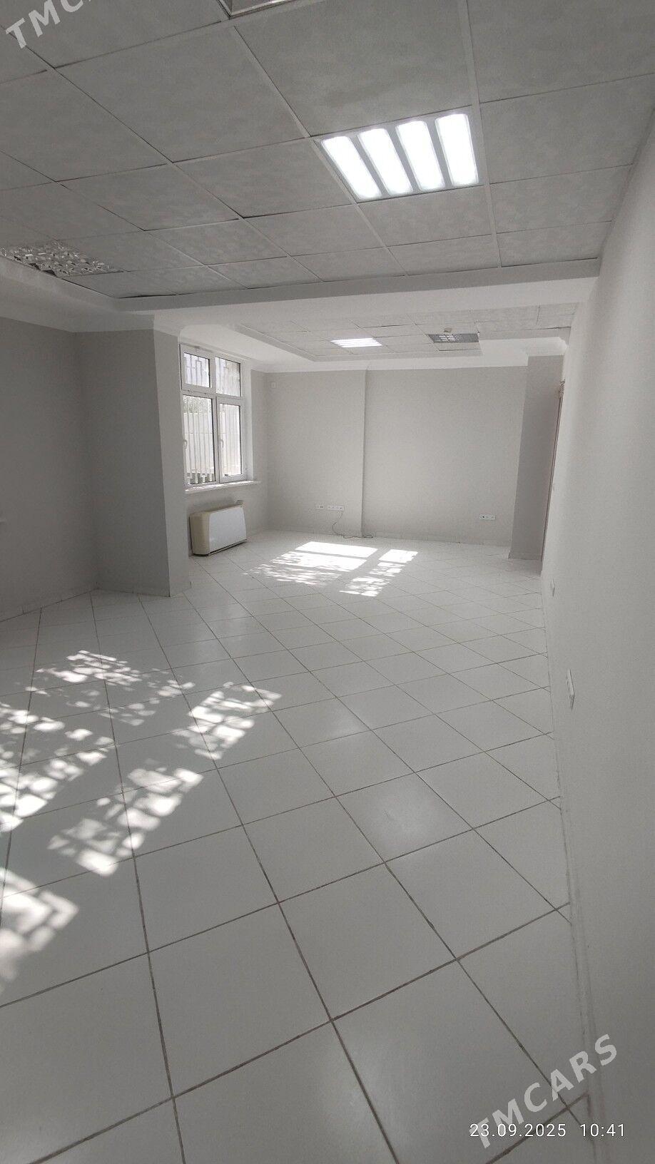 Gurtly 1etaž pomişenŷe 240m² - Gurtly - img 2