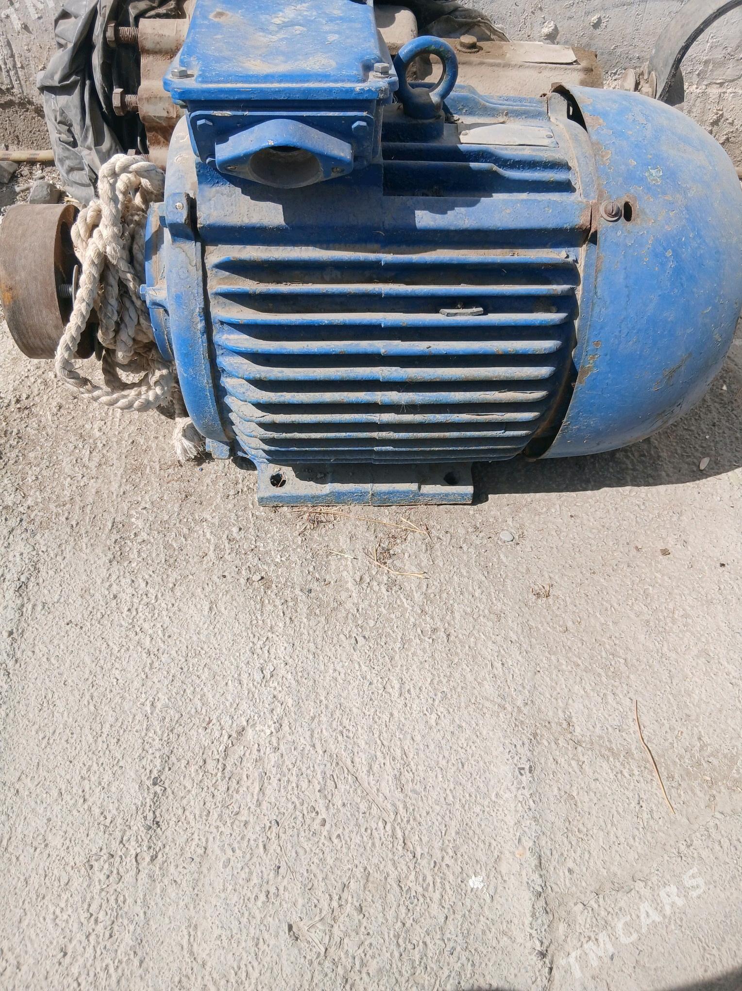 Diwitel - Gökdepe - img 3