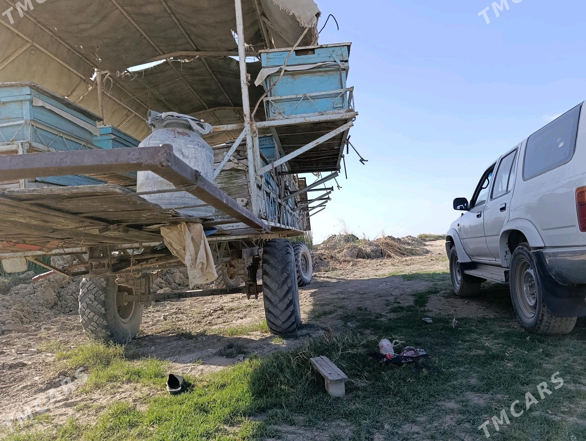 ary bal - Гёкдепе - img 4