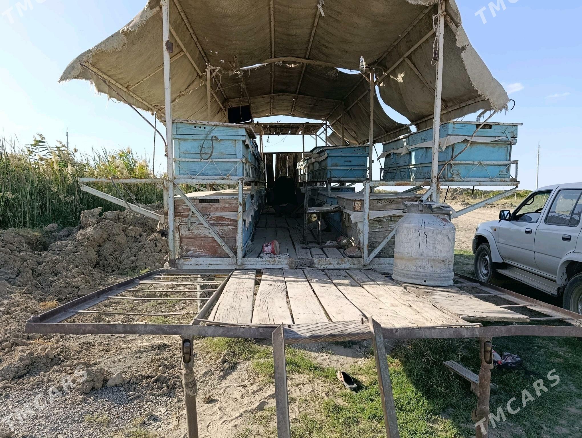 ary bal - Гёкдепе - img 5