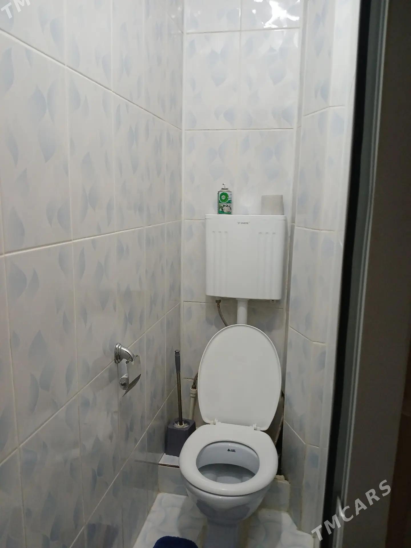 Бизмейин томантный - Aşgabat - img 3