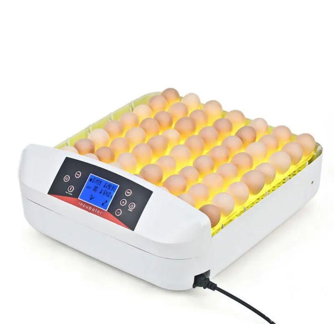 inkubator  56 yumurtgalyk - Mary - img 2