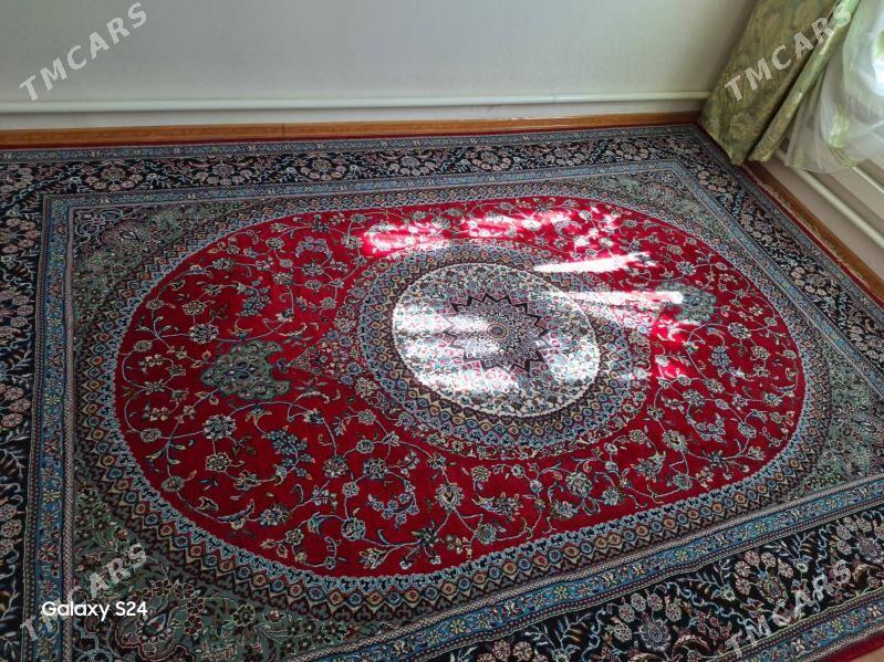 haly iranskiy - Daşoguz - img 1