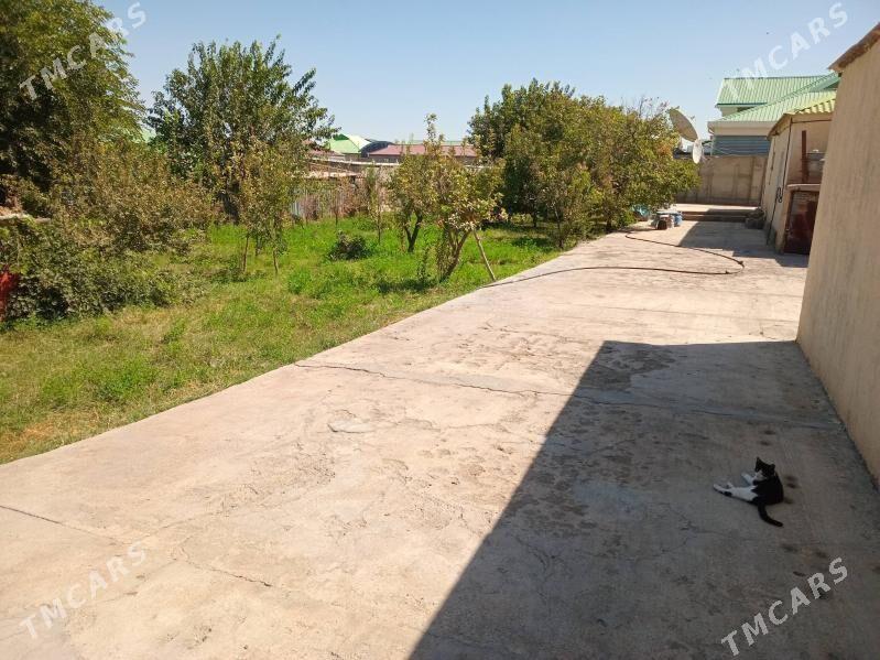 Yalkym - Ýalkym - img 3