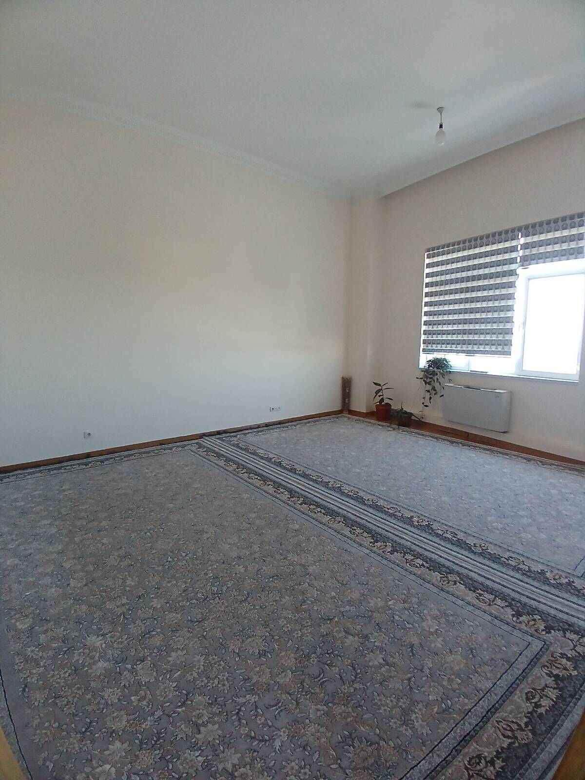 Moskowskay Elitka 4 kom arzan - Ашхабад - img 9