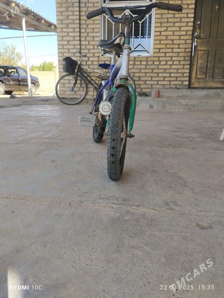 welsepet - Мургап - img 2