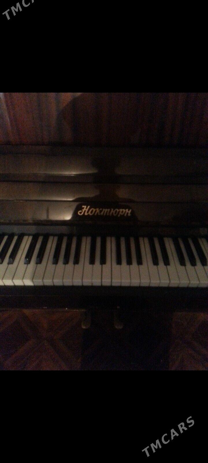 pionina пионино. - Hitrowka - img 3