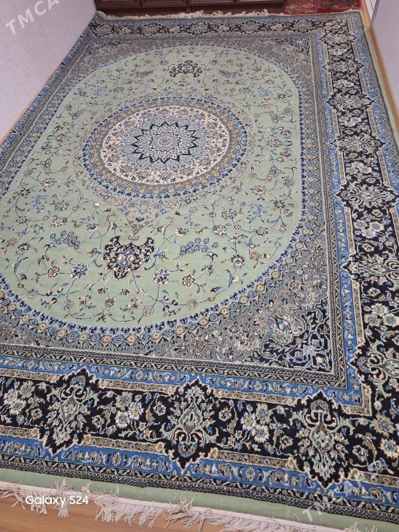 haly iranskiy - Daşoguz - img 1