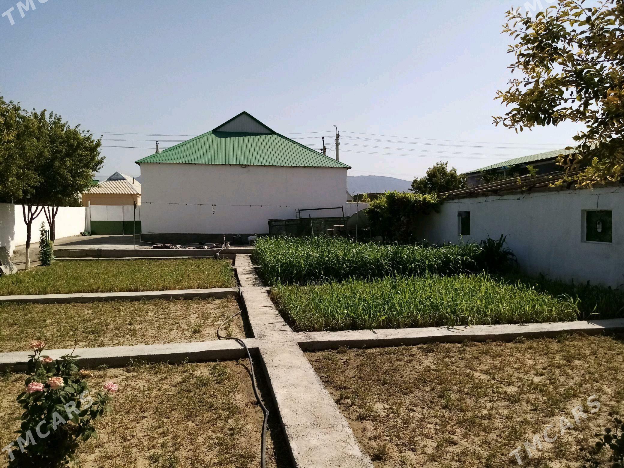 satlyk jaý babarap - Гёкдепе - img 2