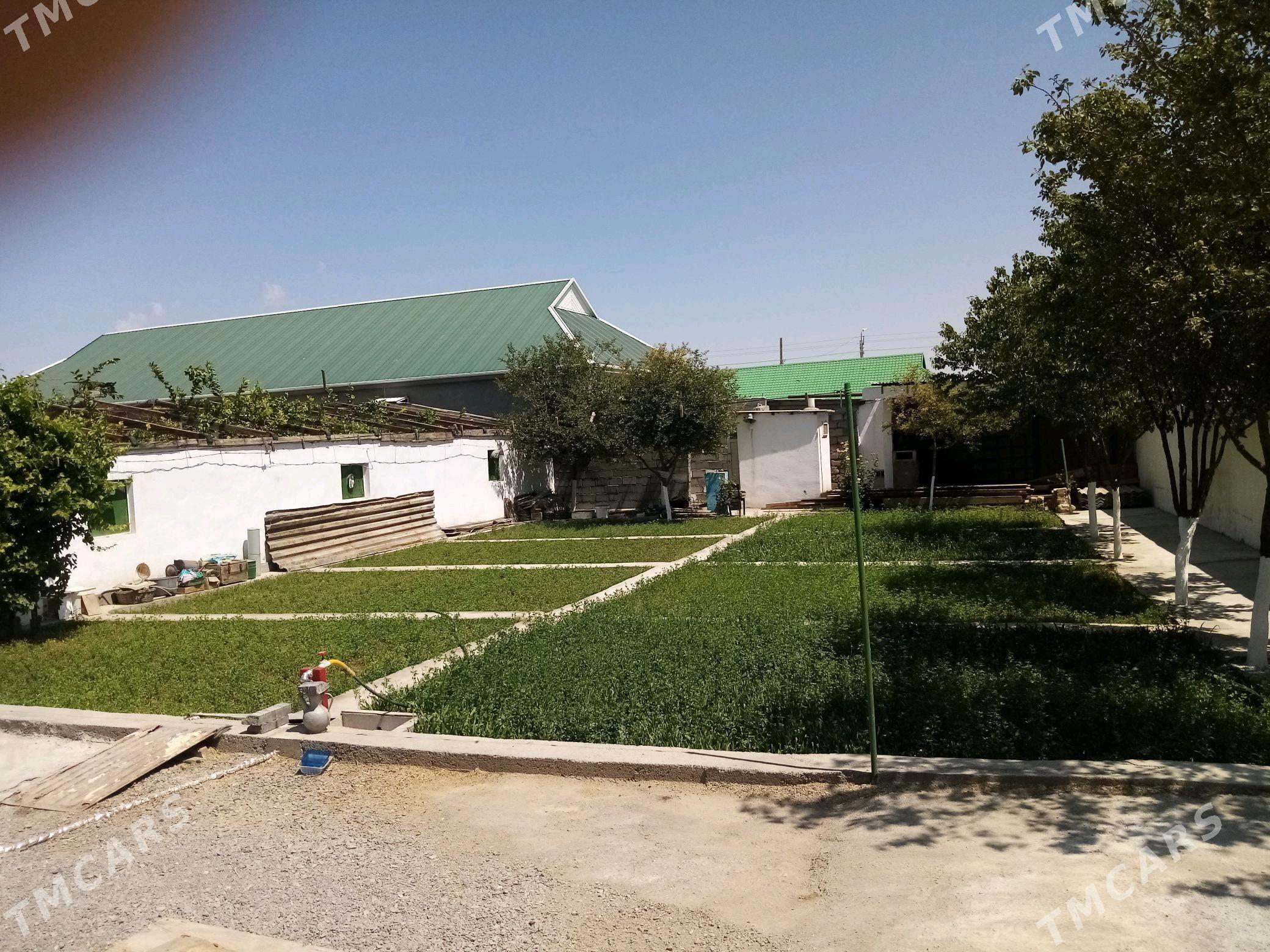 satlyk jaý babarap - Гёкдепе - img 3