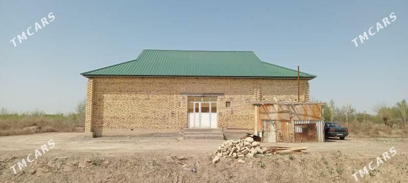 taze guc gumgala - Кёнеургенч - img 1