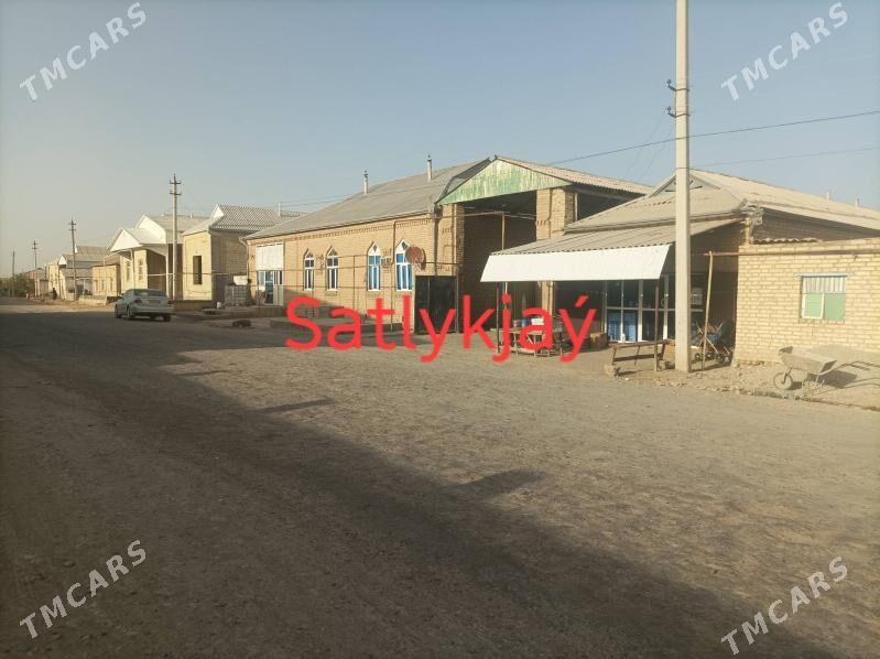 JAÝ HOWLY - Murgap - img 2