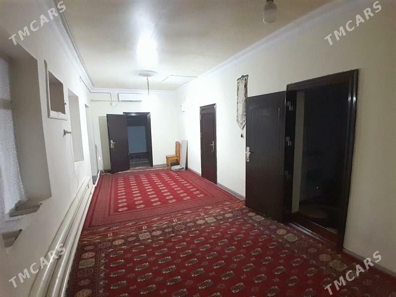 satlyk jay - Kaka - img 2