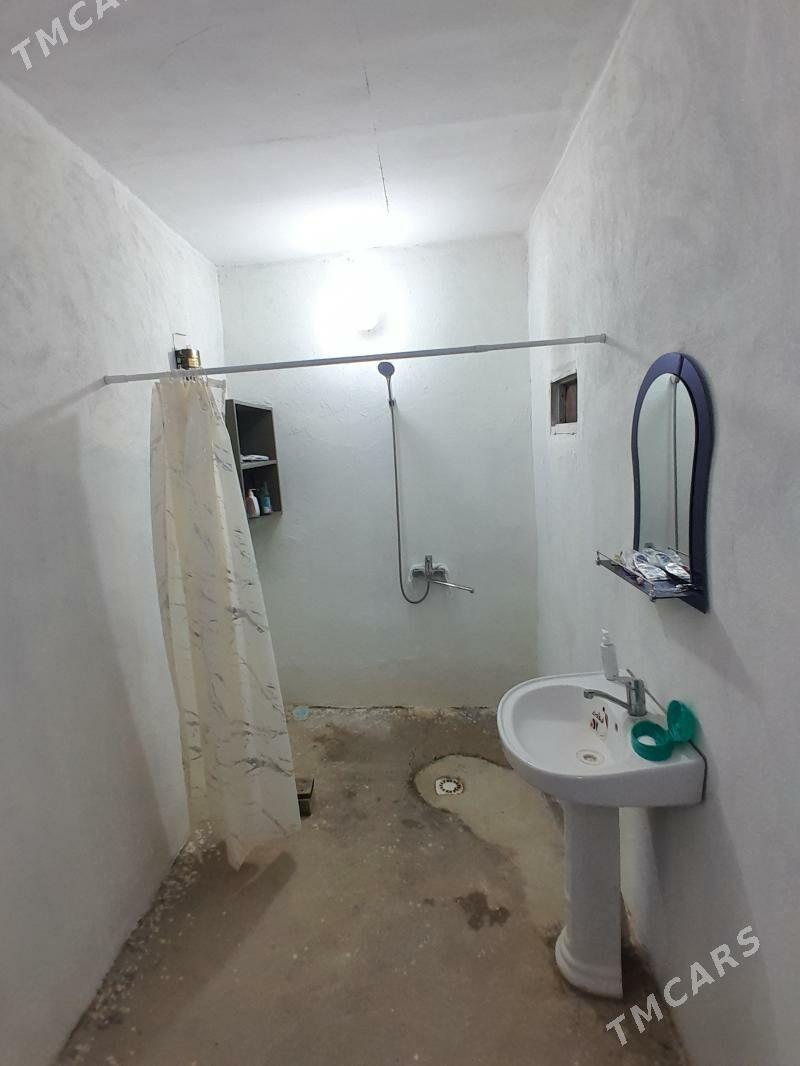 satlyk jay - Kaka - img 3