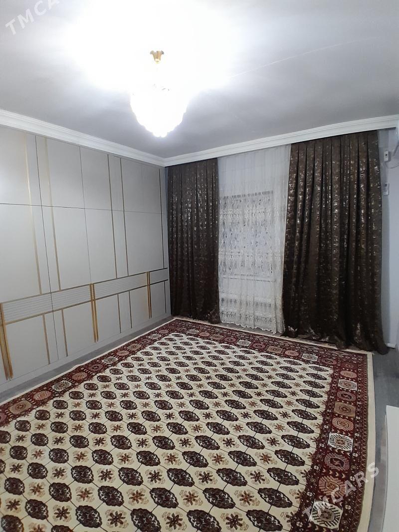 satlyk jay - Kaka - img 5