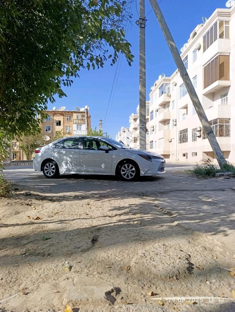 Toyota Corolla 2021 - 230 000 TMT - Mary - img 3