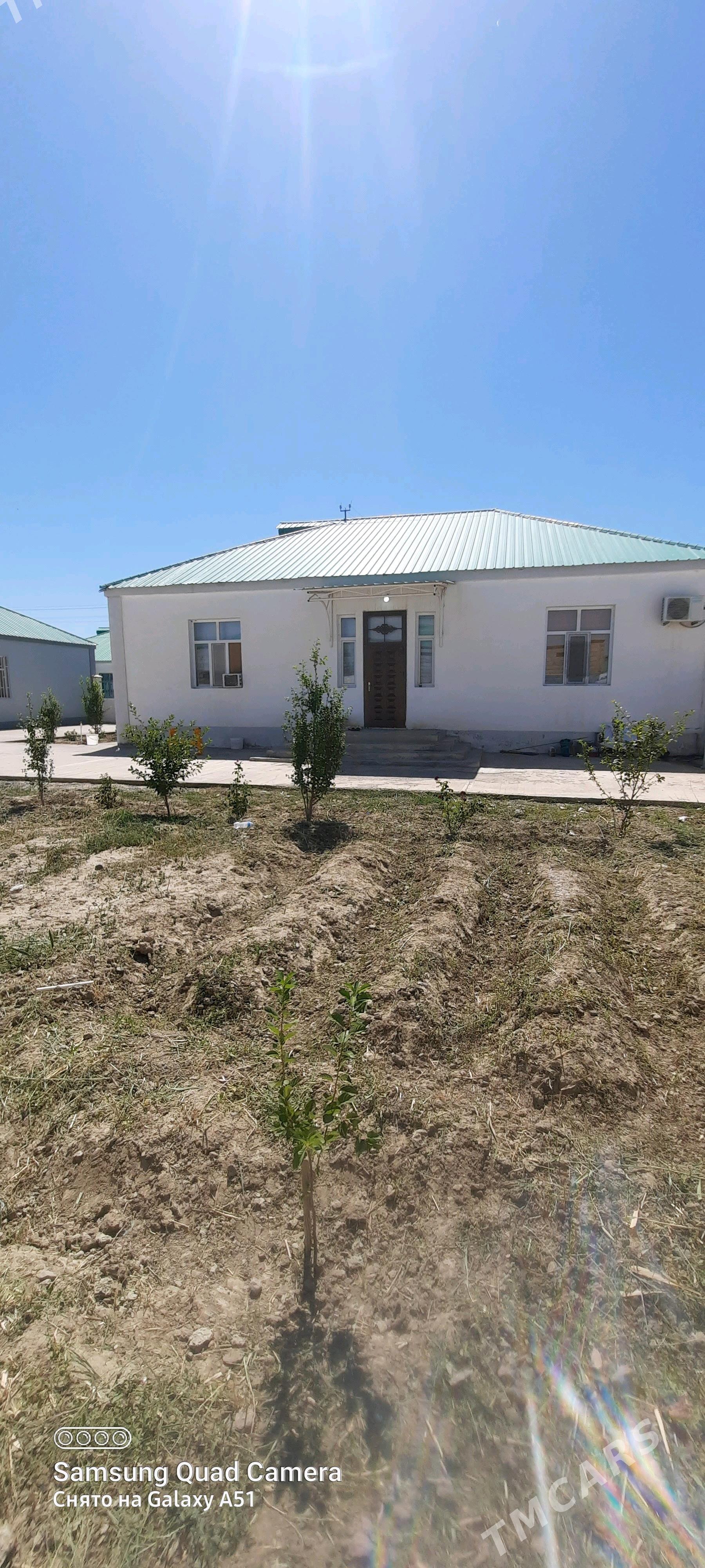 katej jay - Гёкдепе - img 3