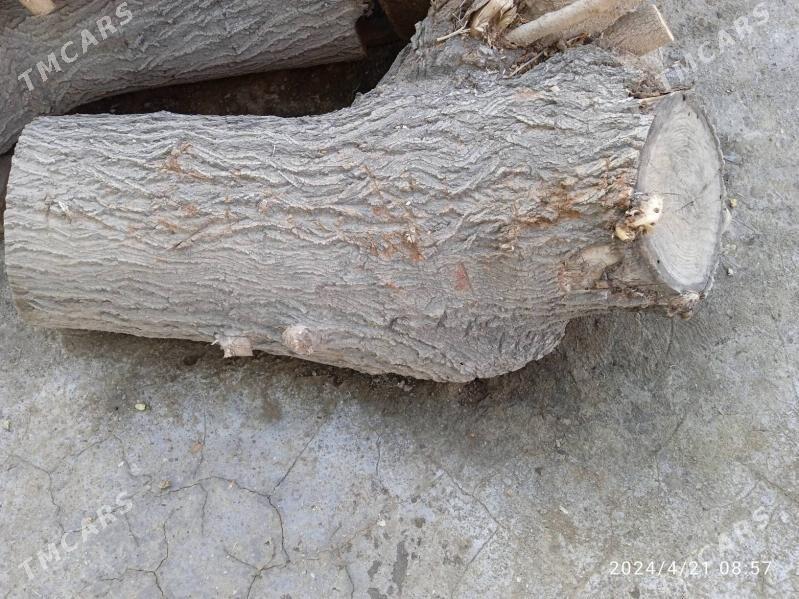 одун ве тонне - Mary - img 1