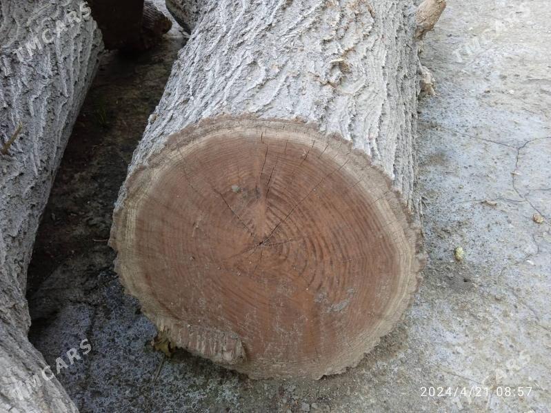 одун ве тонне - Mary - img 2