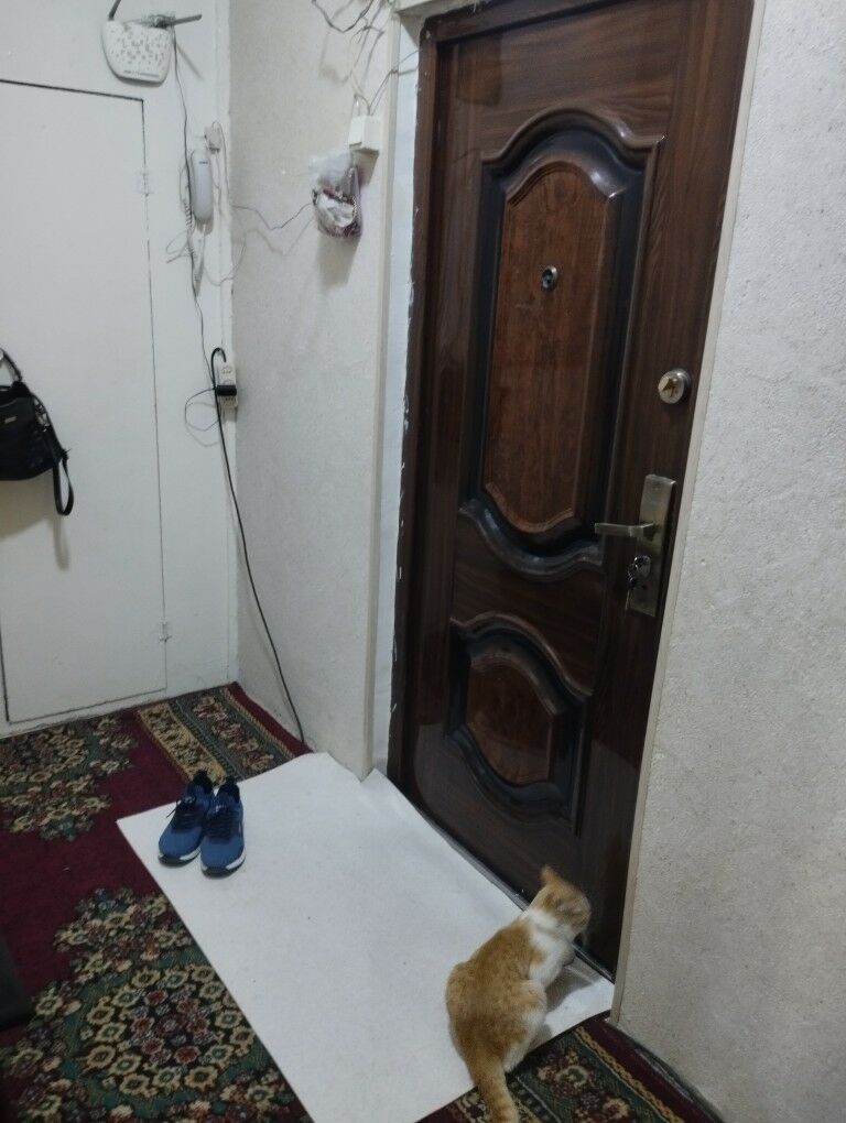 Кооператор 2нжи этаж 2комнат - Daşoguz - img 2