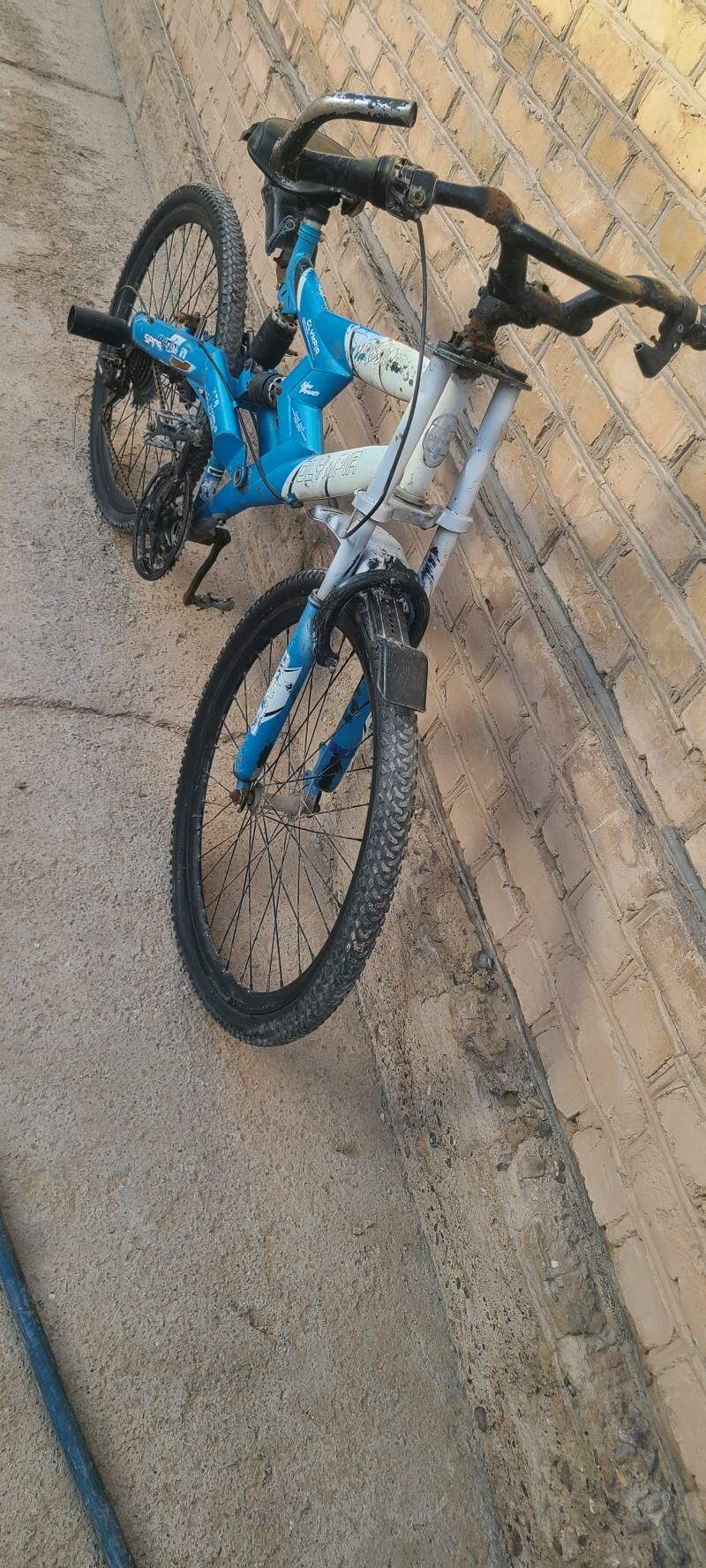 welsepet tigir kama welik - Мары - img 4