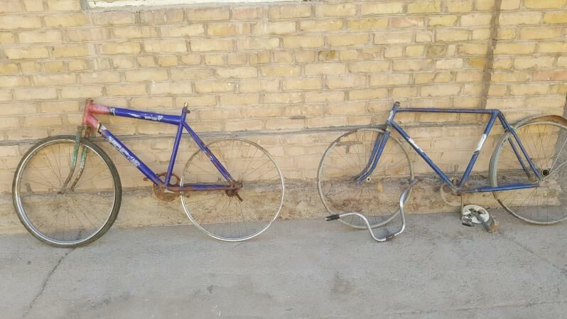 welsepet tigir kama welik - Мары - img 6