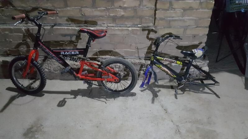 welsepet tigir kama welik - Мары - img 5