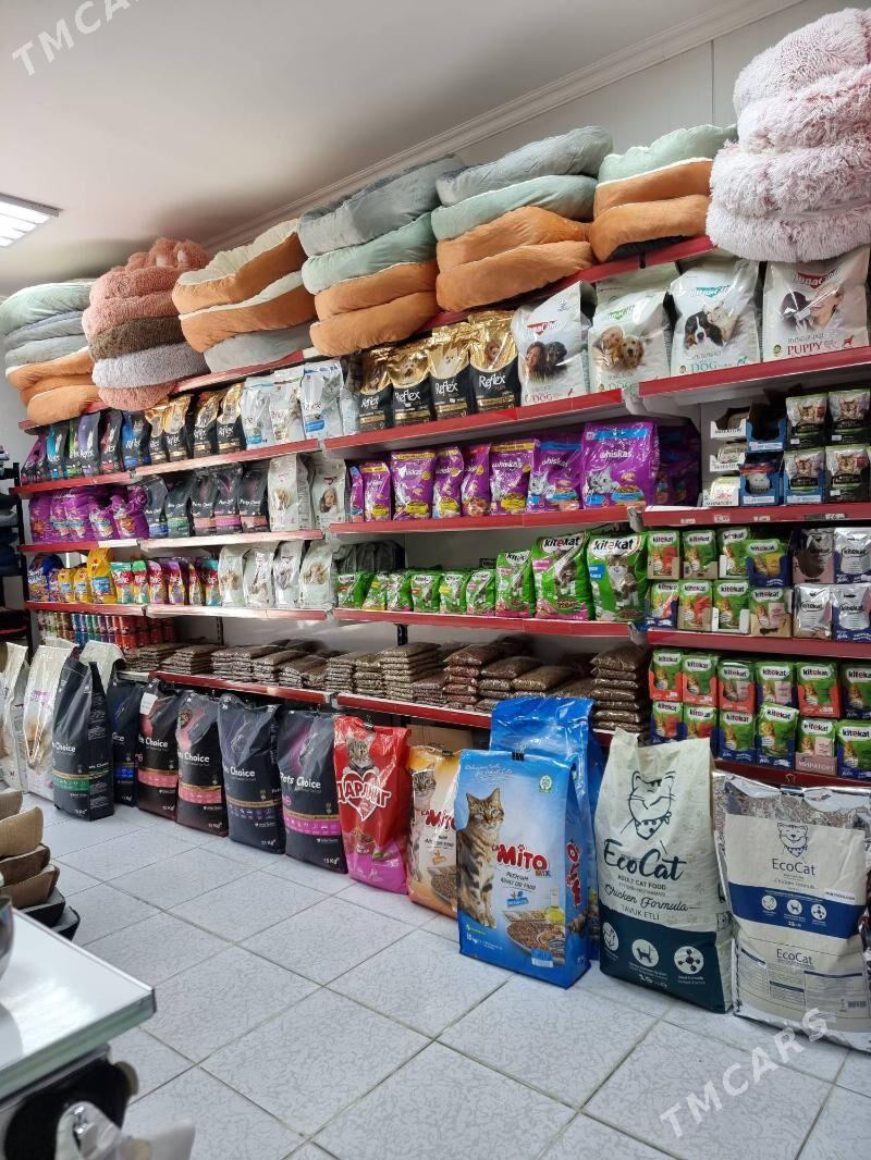 ZOOMAGAZOO zoomagazyn - 6 mkr - img 5