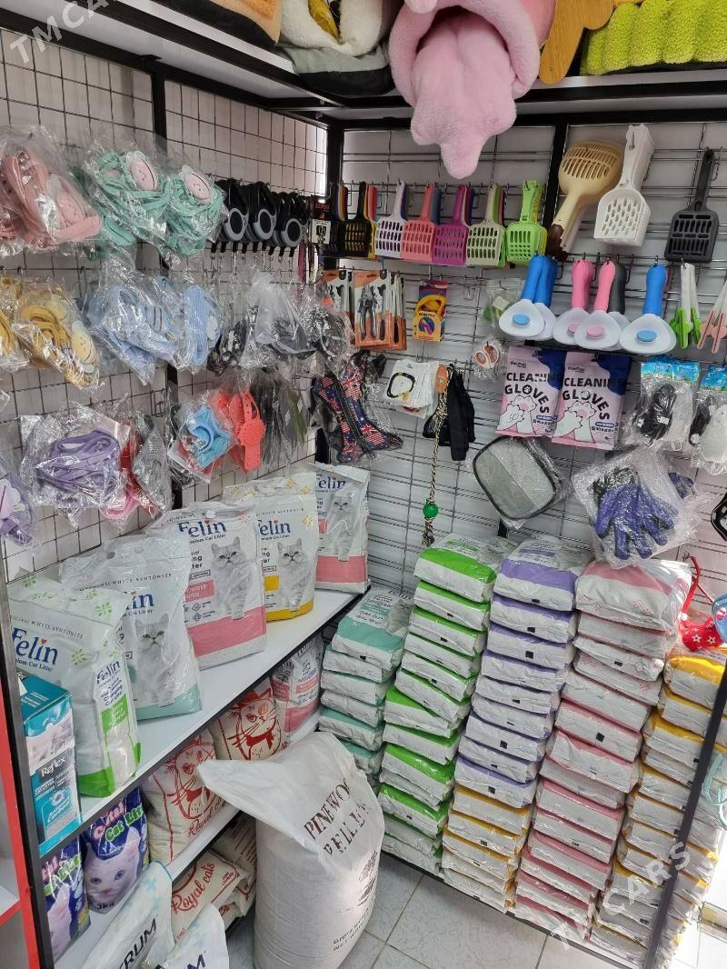 ZOOMAGAZOO zoomagazyn - 6 mkr - img 2