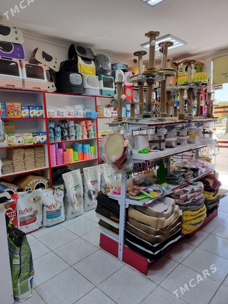 ZOOMAGAZOO zoomagazyn - 6 mkr - img 3