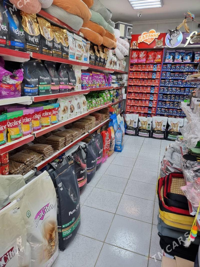 ZOOMAGAZOO zoomagazyn - 6 mkr - img 7