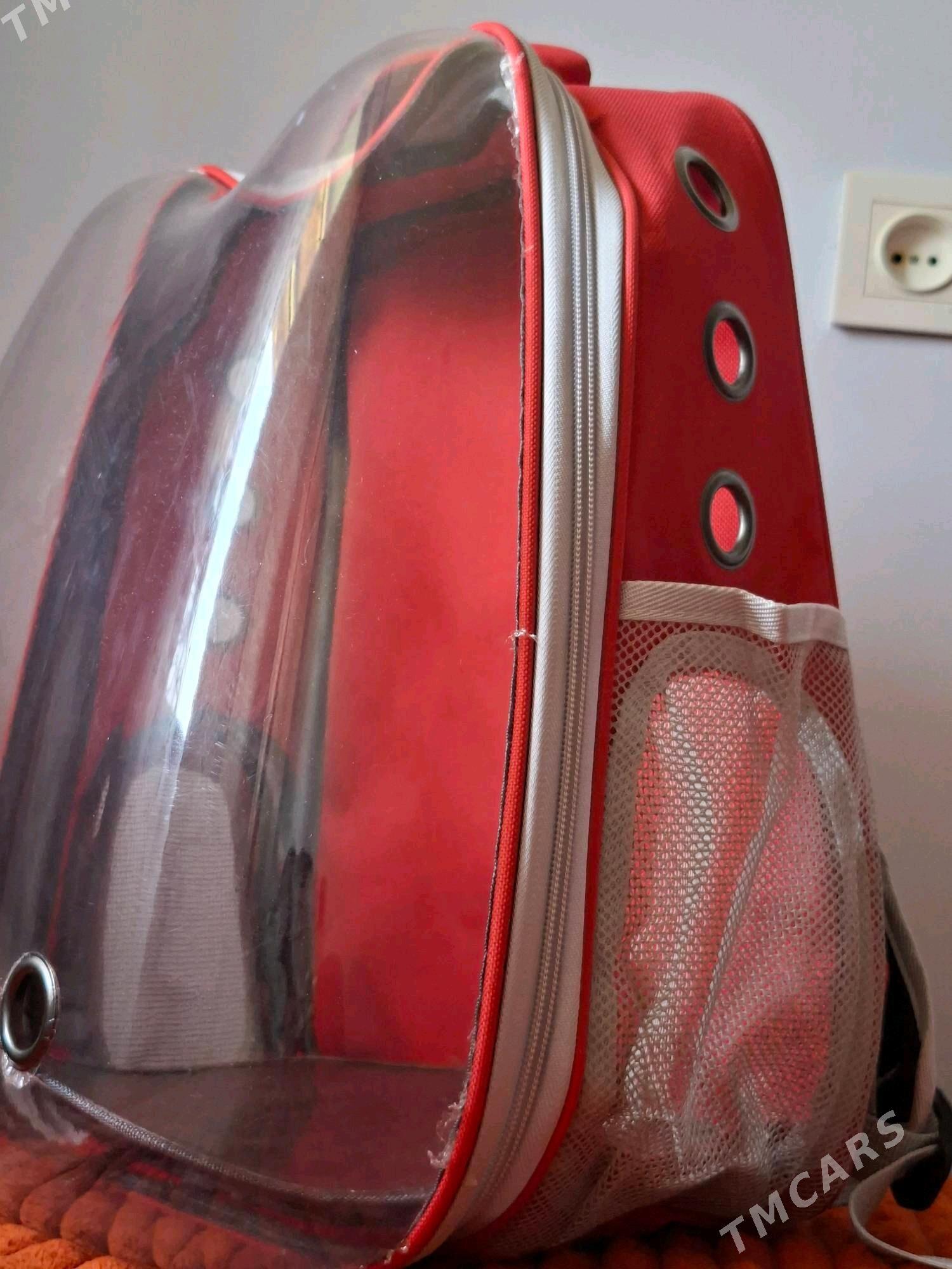 Pişikler,küçükler ücin sumka - Чарджоу - img 2