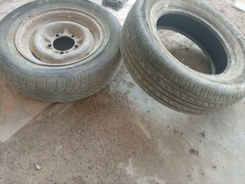 wolga balon 200 TMT - Койтендаг - img 4