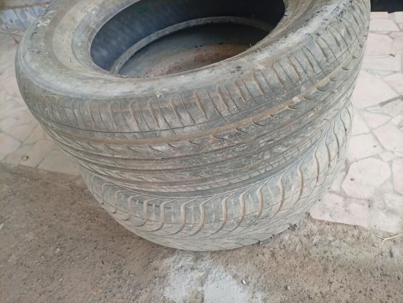 wolga balon 200 TMT - Койтендаг - img 2