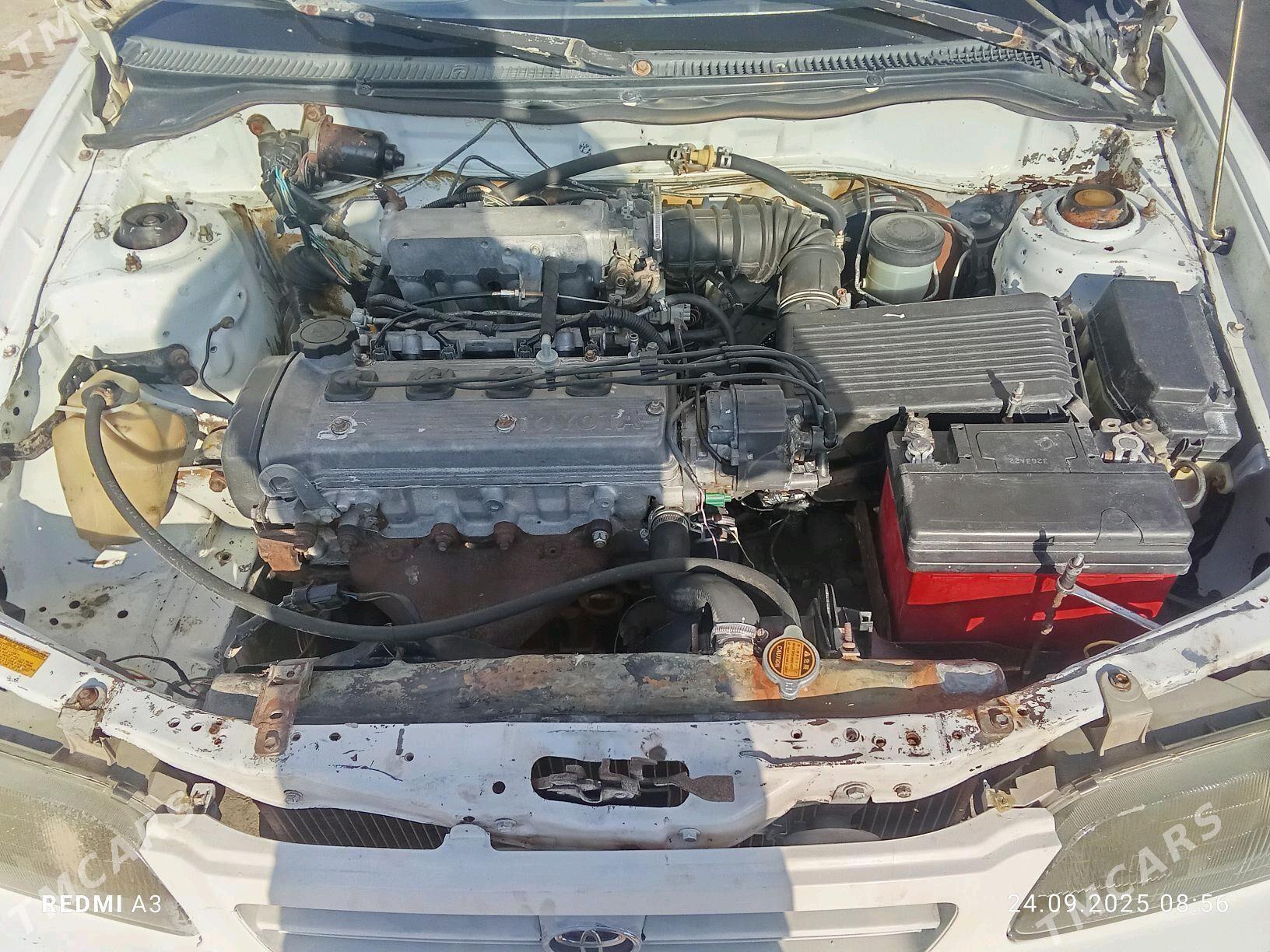 Toyota Tercel 1995 - 29 000 TMT - Мары - img 6