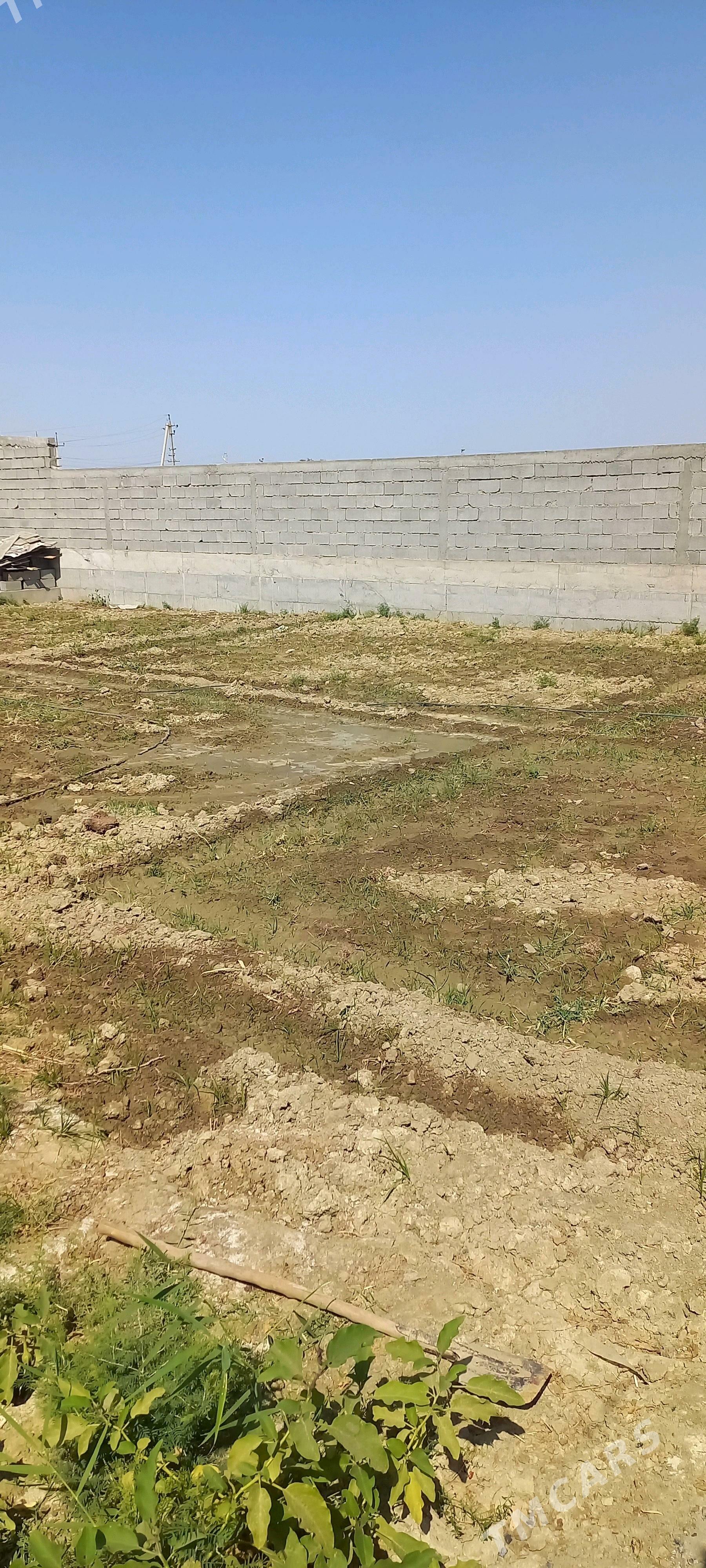 Gökdepe plan jaý - Gökdepe - img 1