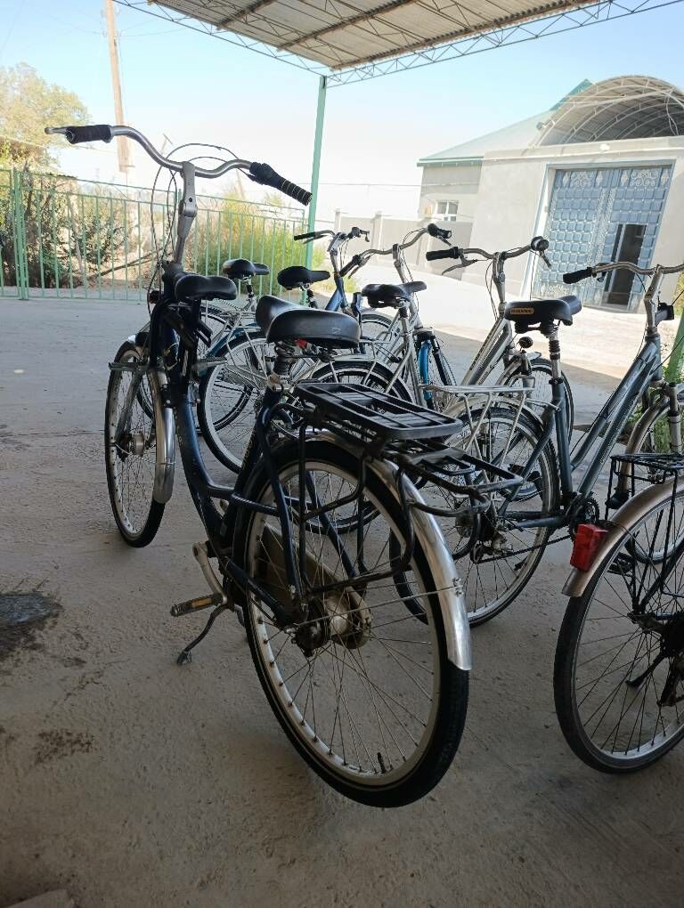 Tigirler - Sakar - img 6