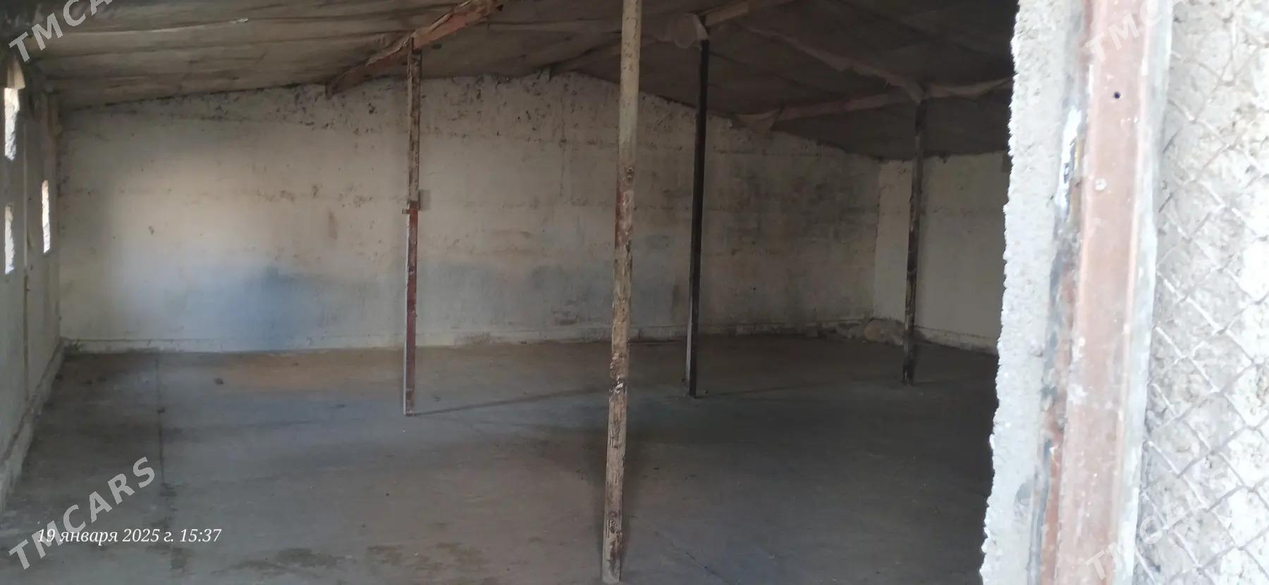 kreyna yer - Анев - img 3