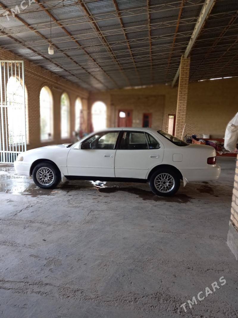 Toyota Camry 1996 - 80 000 TMT - Türkmenabat - img 3
