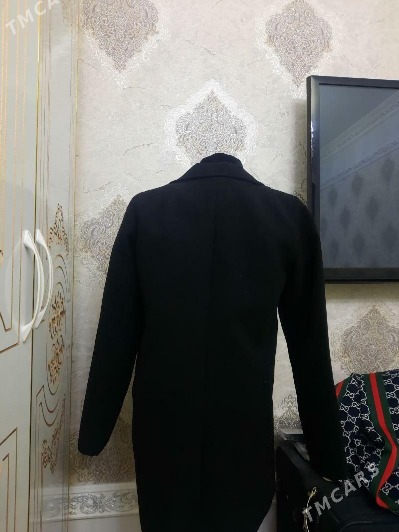 Okuvcylar,Talyplar ucin Palto - Aşgabat - img 2