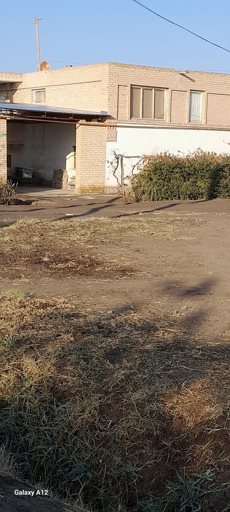 satlyk jay - Дянев - img 3