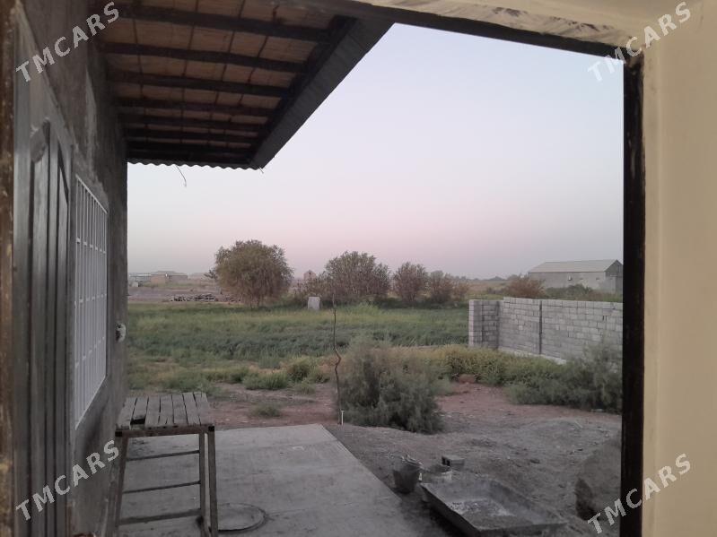 Jaý Satlyk - Теджен - img 1