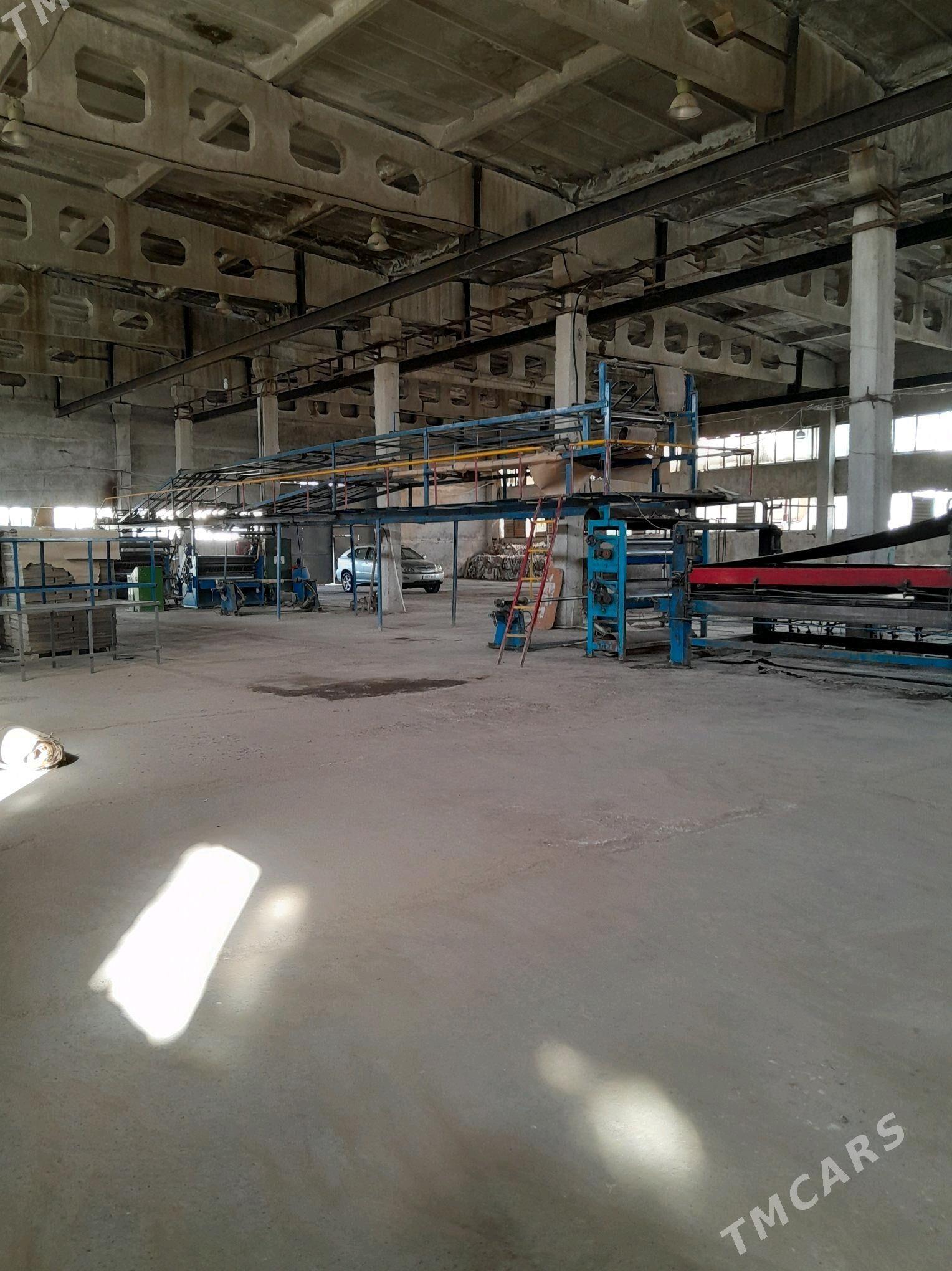 Zawod biznes - Мары - img 7