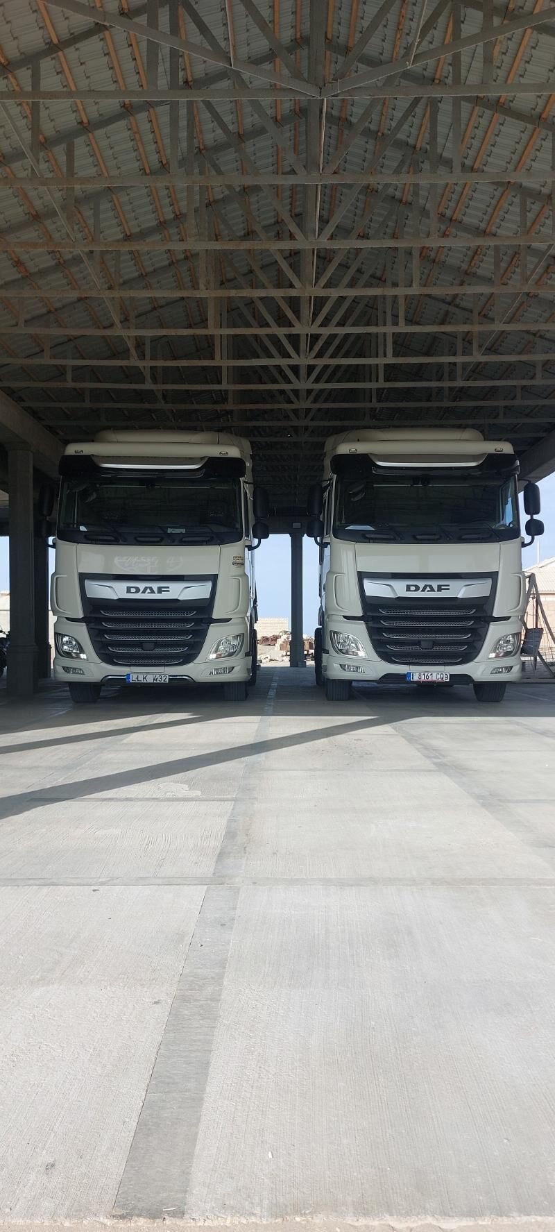 DAF 45220 2020 - 766 380 TMT - Gumdag - img 2