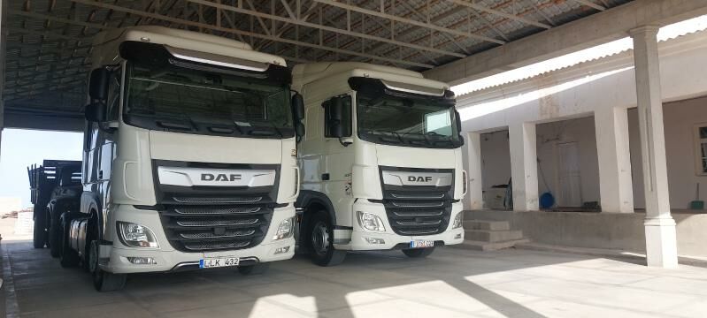 DAF 45220 2020 - 766 380 TMT - Gumdag - img 3
